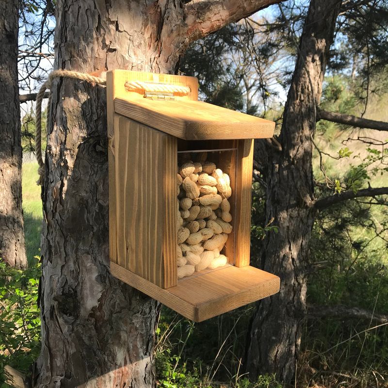 Butterfly Feeding Station