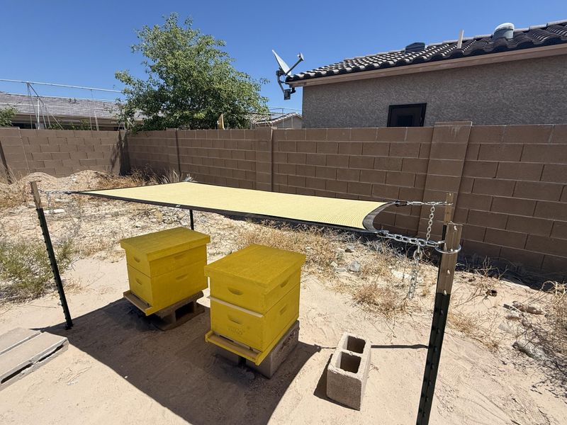 Backyard Beehives