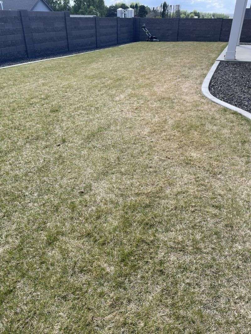 Dormant Grass Protection