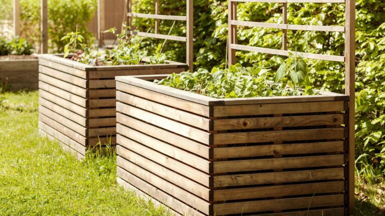 raised garden beds