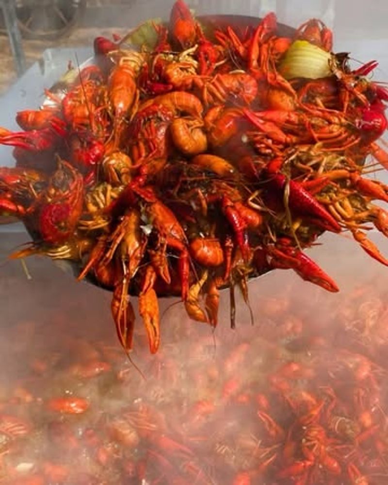 Crawfish Boil Stations