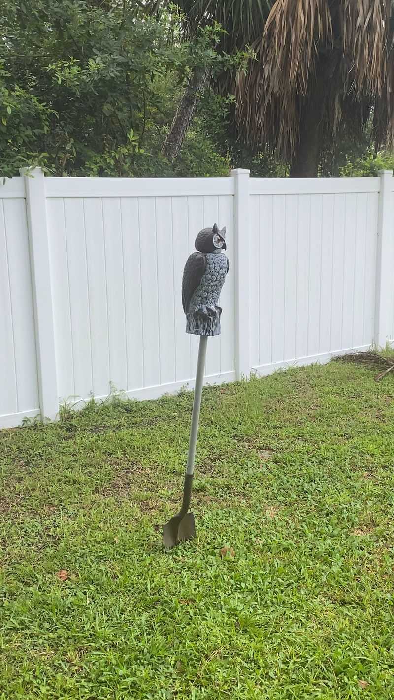 Fake Owl Decoys