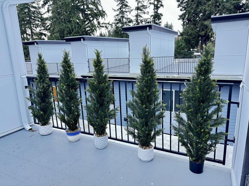 Staggered Potted Trees