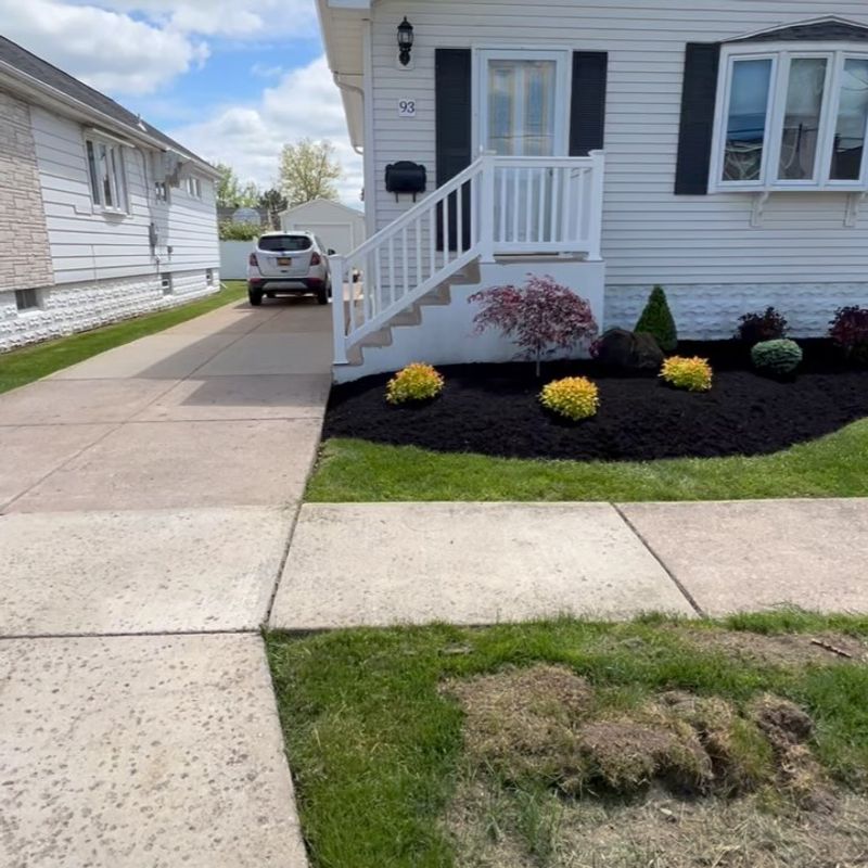Straight-Line Foundation Plantings