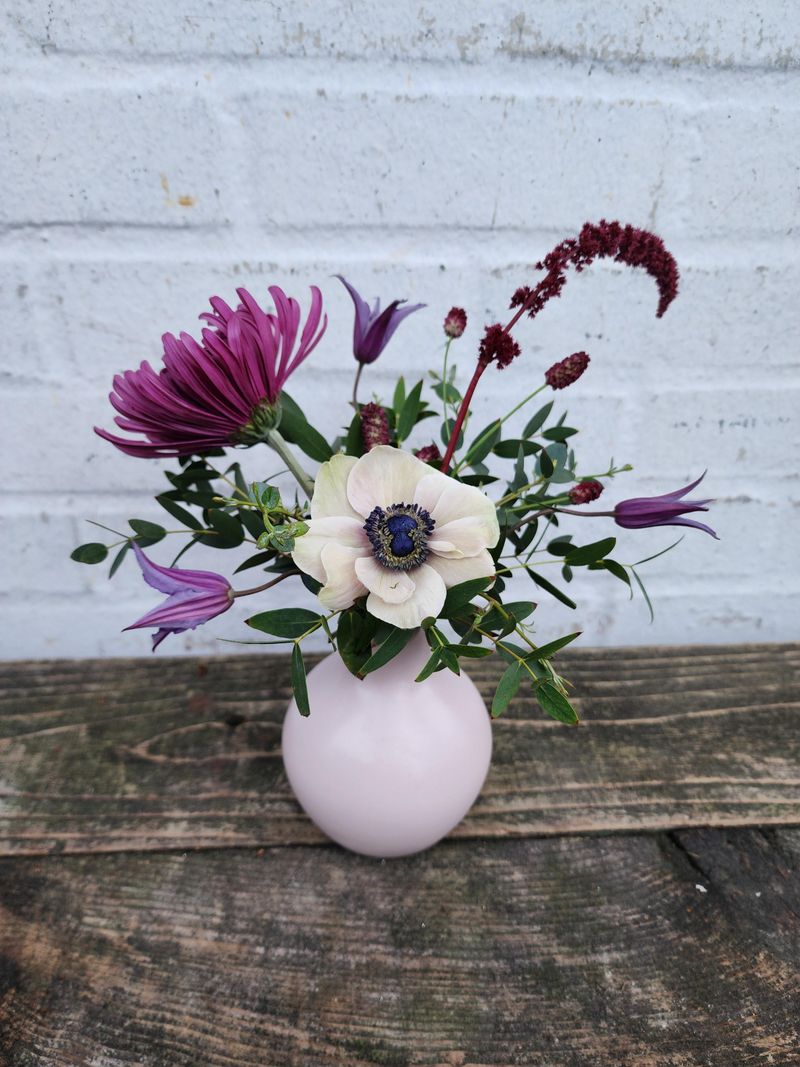 Anemones