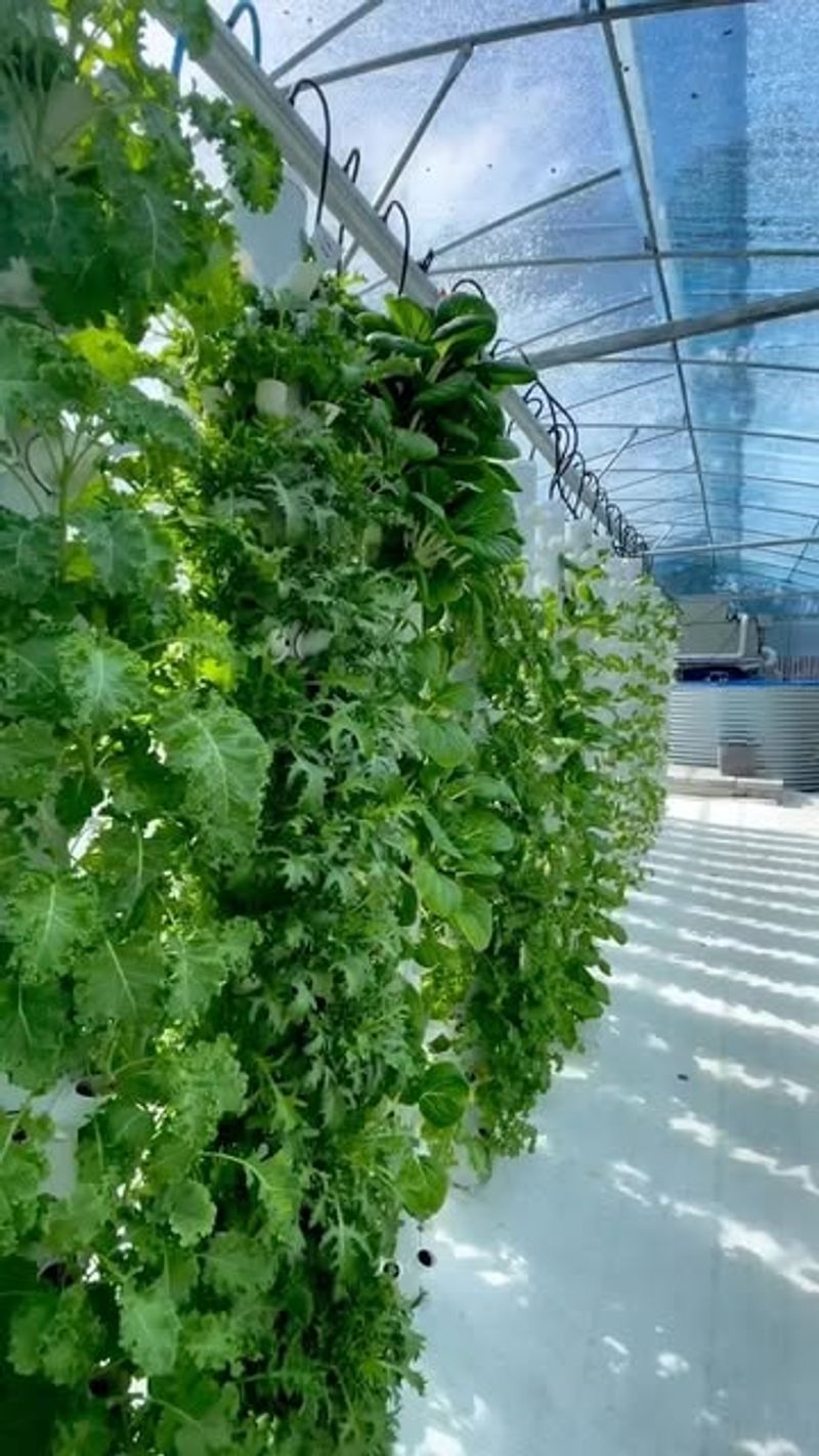 Large-Scale Aquaponics Systems