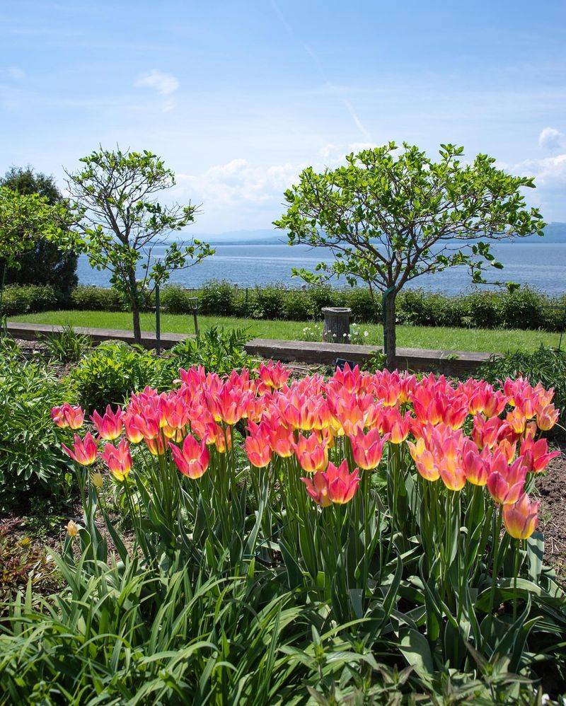 Shelburne Farms - Vermont