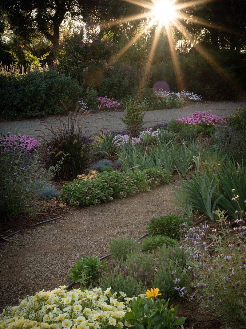 Add Heat-Reflective Ground Cover