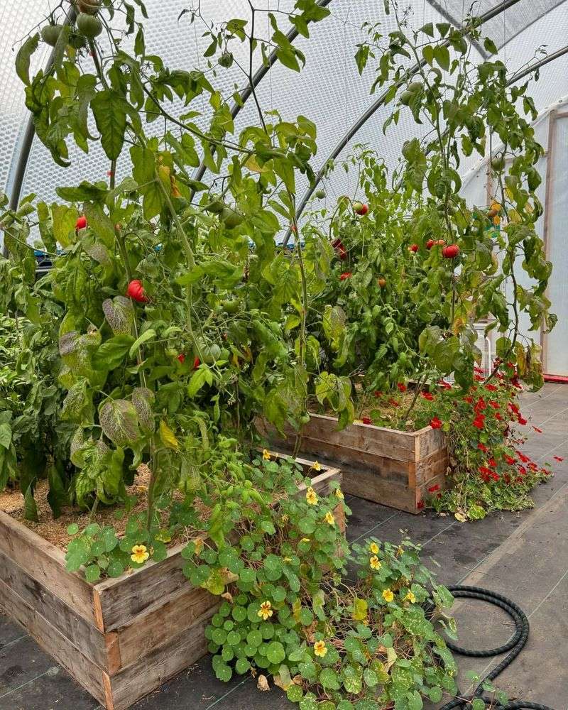 Extended Growing Season