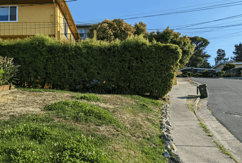 Maintains Property Boundaries Clearly