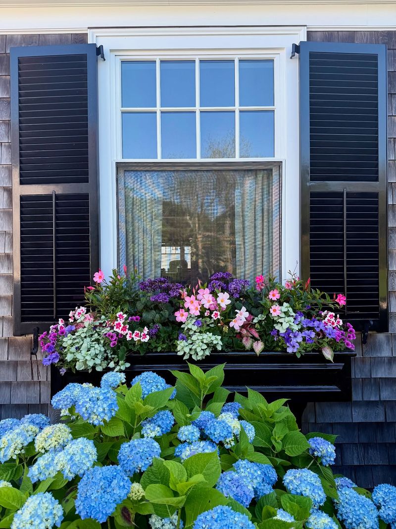 Hang Window Boxes