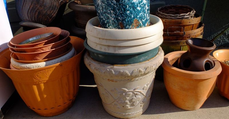 Clean Containers Before Reusing