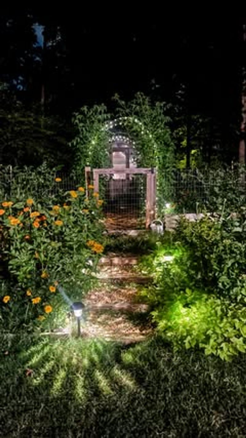 Install Solar Landscape Lighting