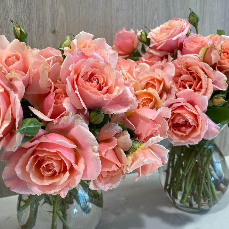 Sweet-Scented Roses