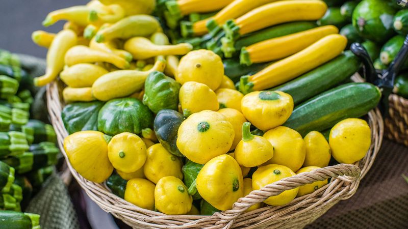 Practice Consistent Harvesting Schedules