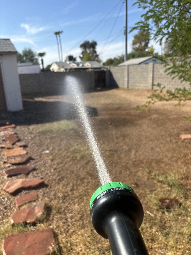 Avoid Evening Watering