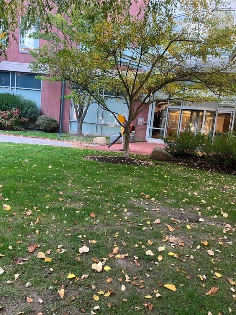 Excessive Leaf Blower Noise