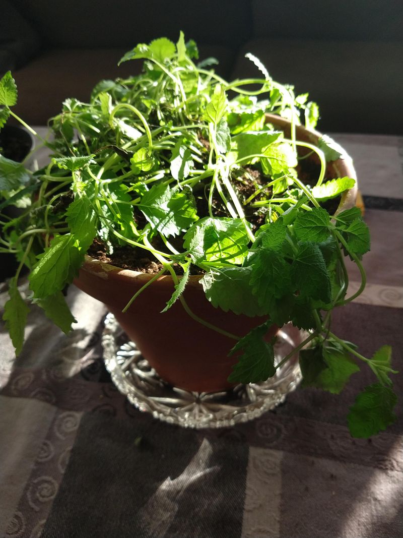 Provide Air Circulation Without Drafts