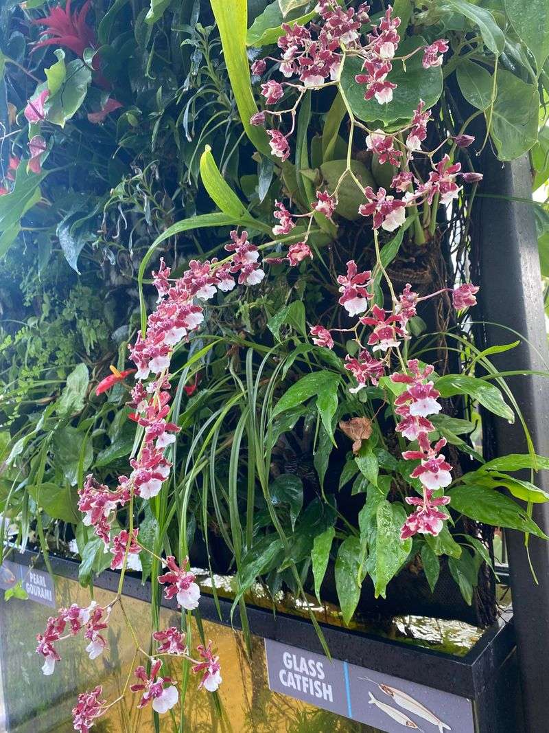 Design Vertical Garden Panels