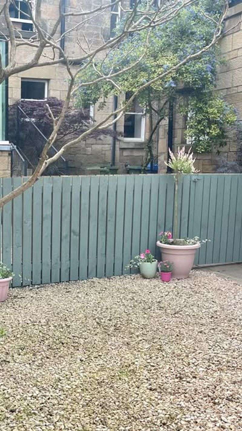 Paint a Tired Fence With Leftover Paint