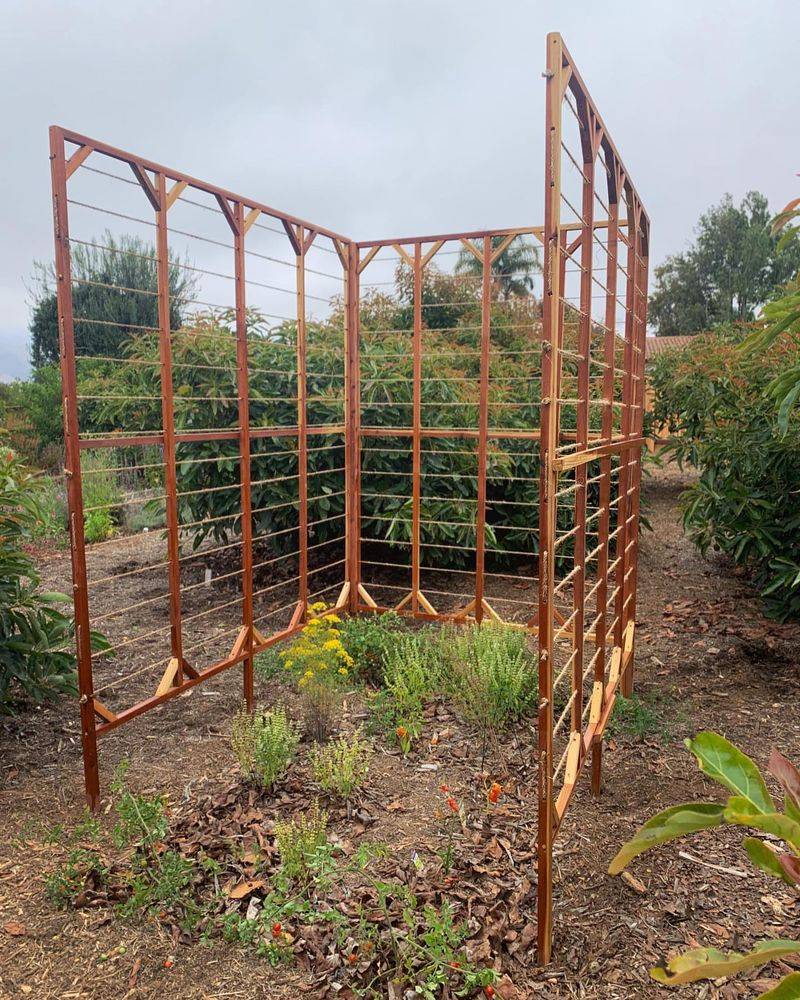 Copper Pipe Geometric Trellis