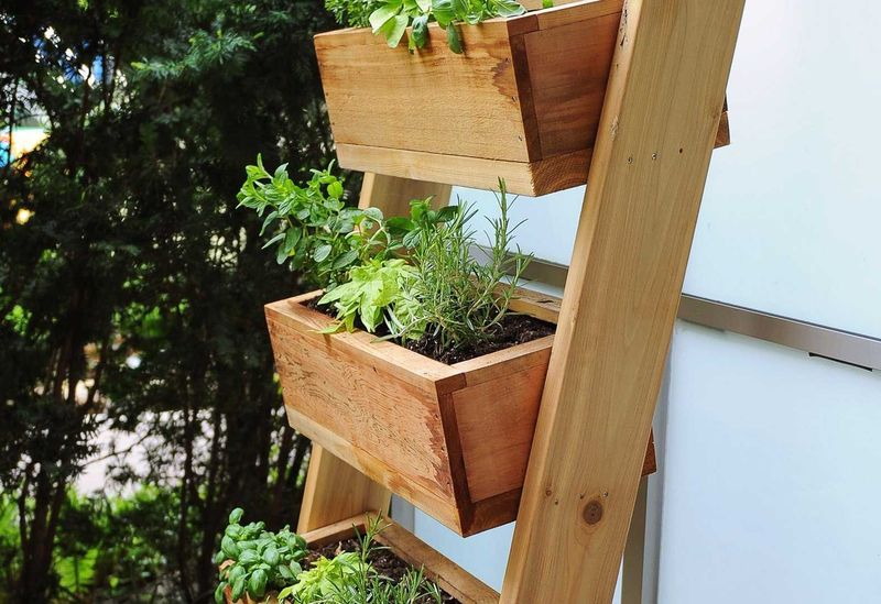 Elevated Planter Boundaries