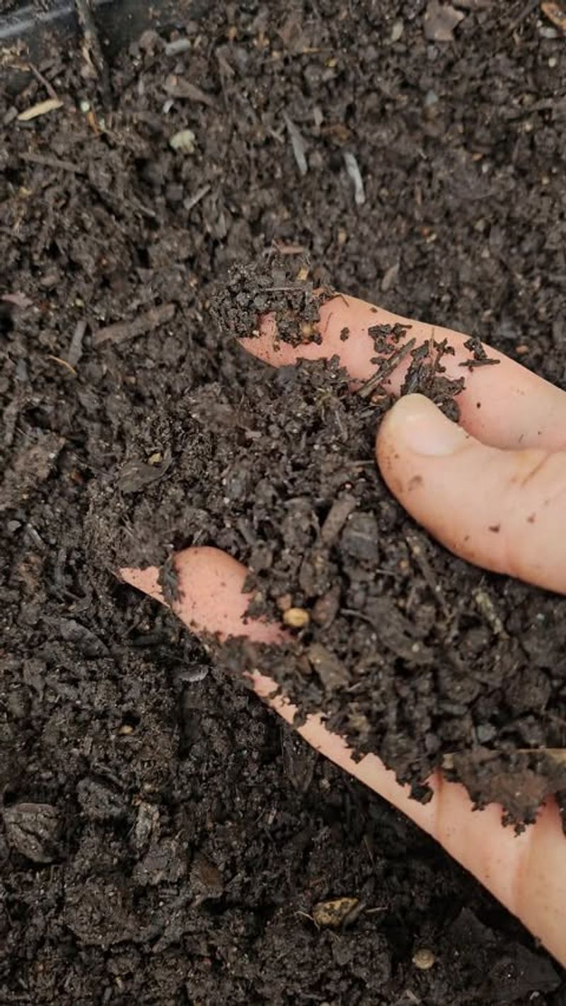 Apply Worm Castings