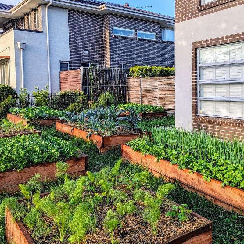 Vegetable Garden Regulations