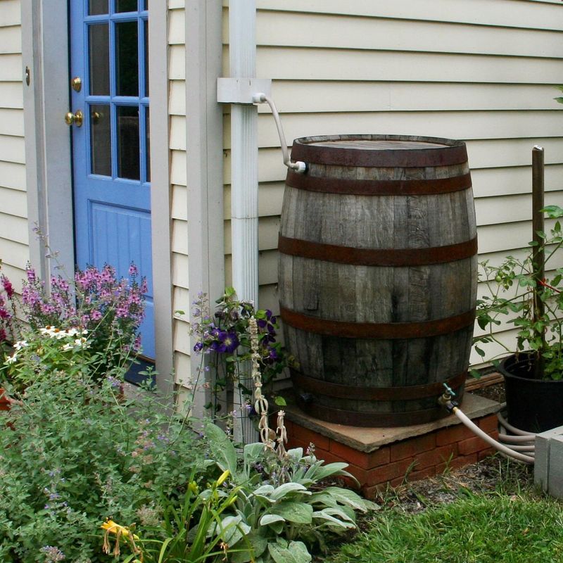 Support Humidity-Loving Plants