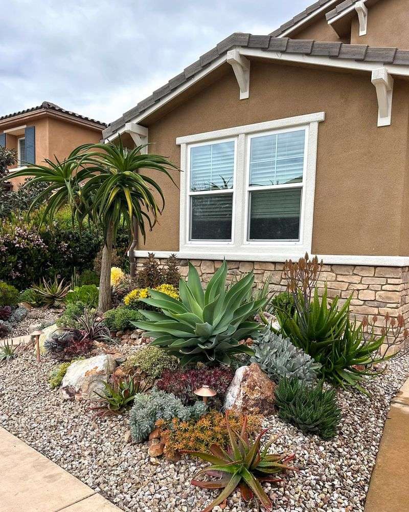 Drought-Tolerant Succulent Gardens