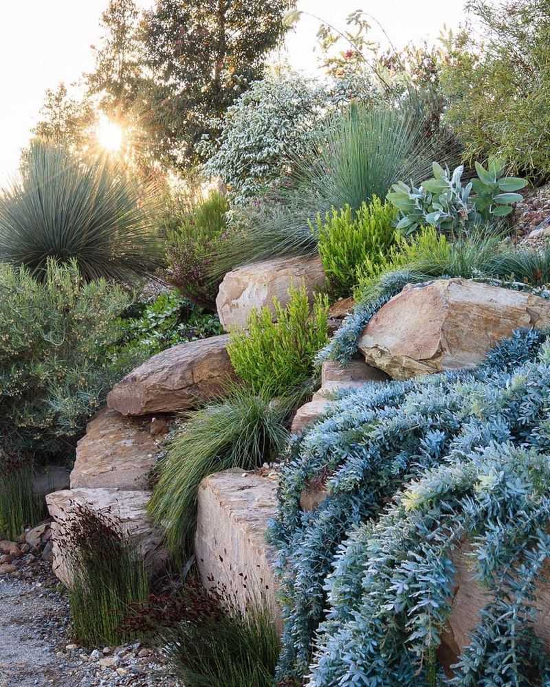 Native Plant Rock Garden