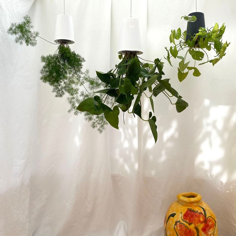 Dramatic Ceiling Planter