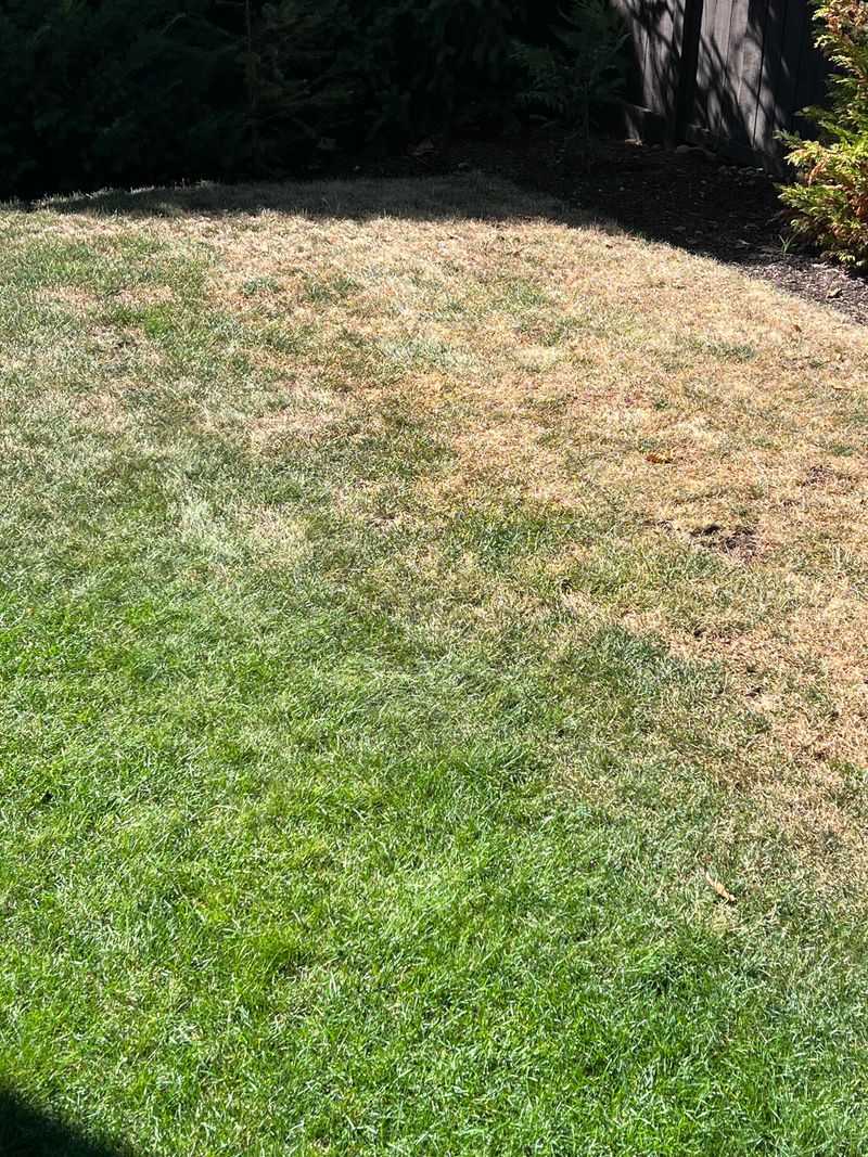 Uneven Greening