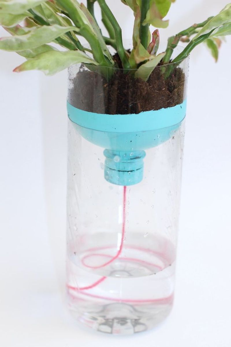 Self-Watering Propagation System
