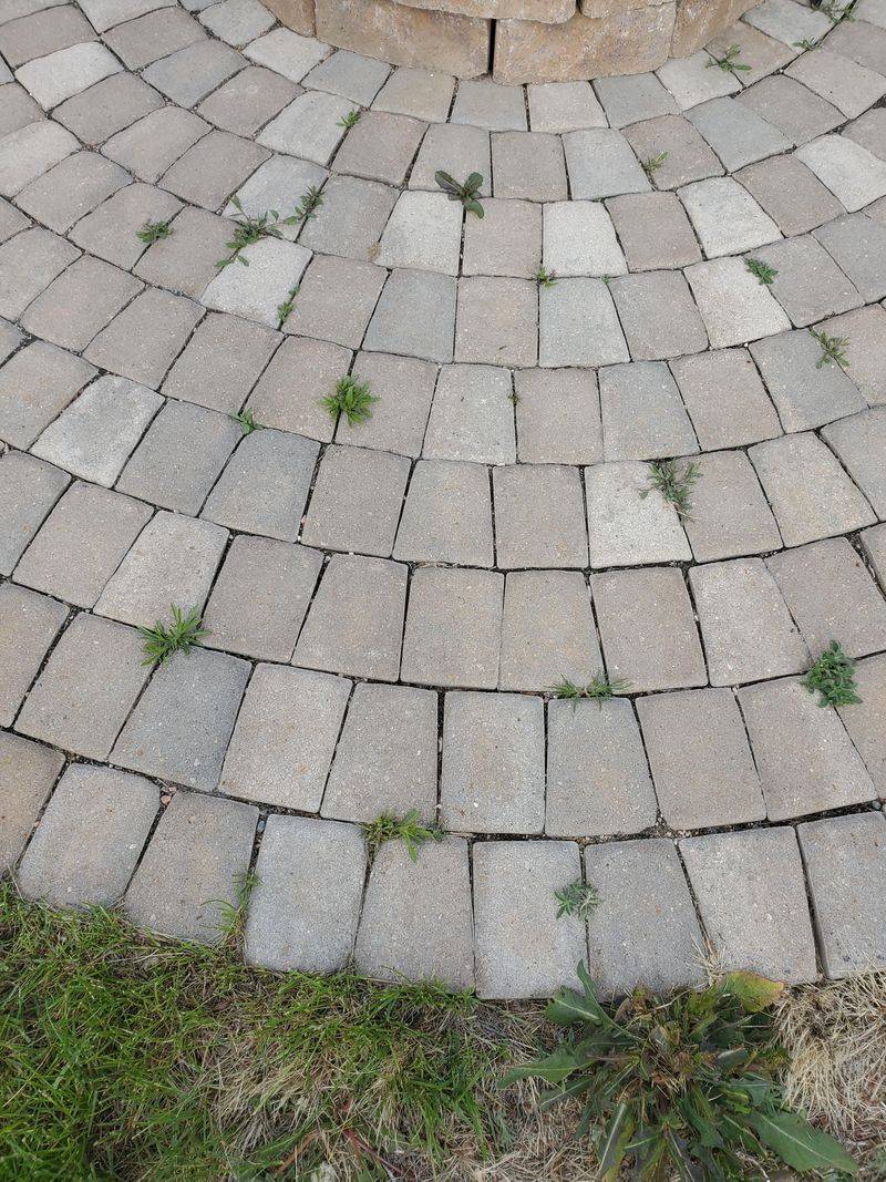 Weed Prevention In Pavers