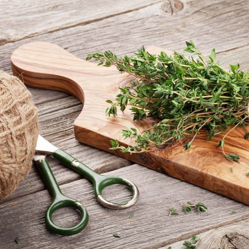 Thyme: The Versatile Low-Maintenance Herb