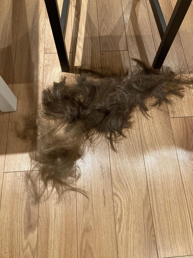 Human Hair Clippings