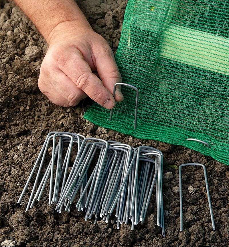 Landscape Fabric Staples