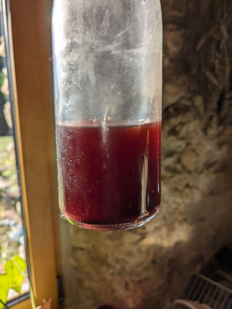 Vinegar: Nature's Weed Zapper