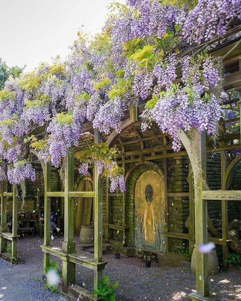 Dumbarton Oaks, Washington D.C.