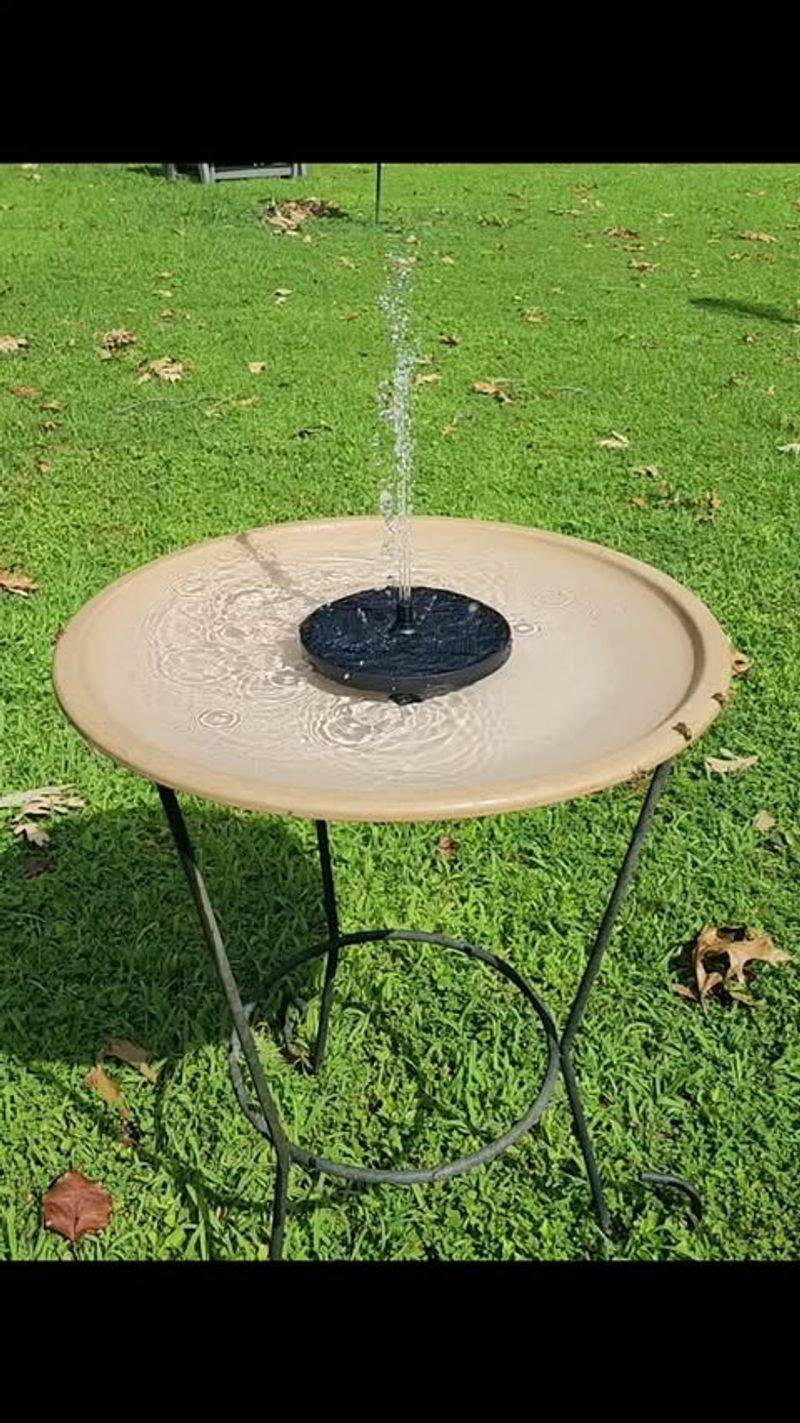 Contaminated Water Sources