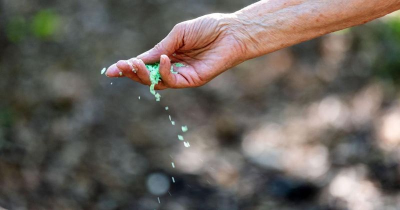 Apply Irish Spring Soap Shavings