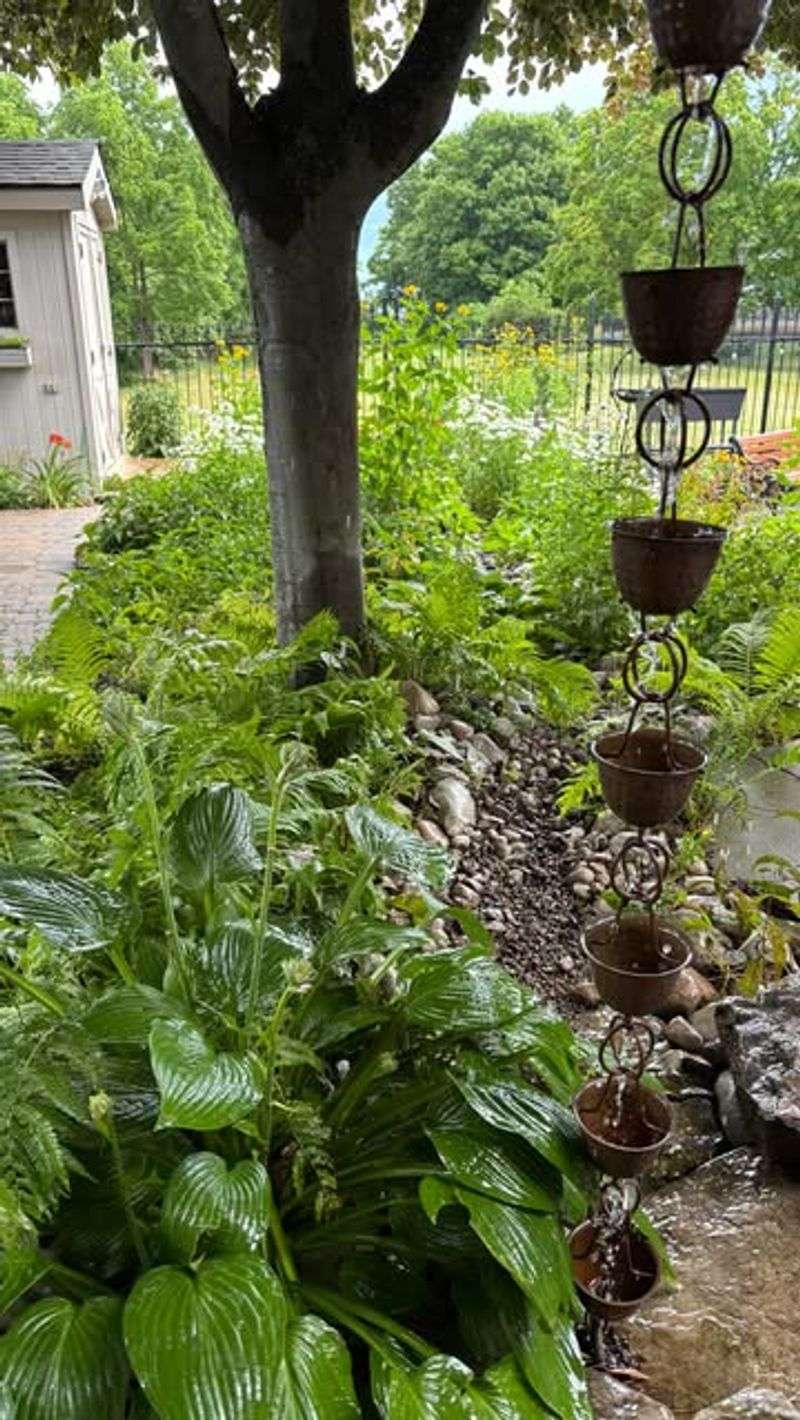 Rainfall Sound Gardens