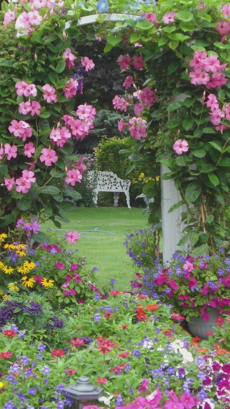 Creative Display Ideas