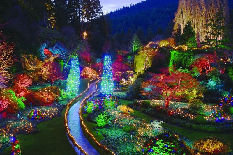 Nighttime Illumination Spectacle