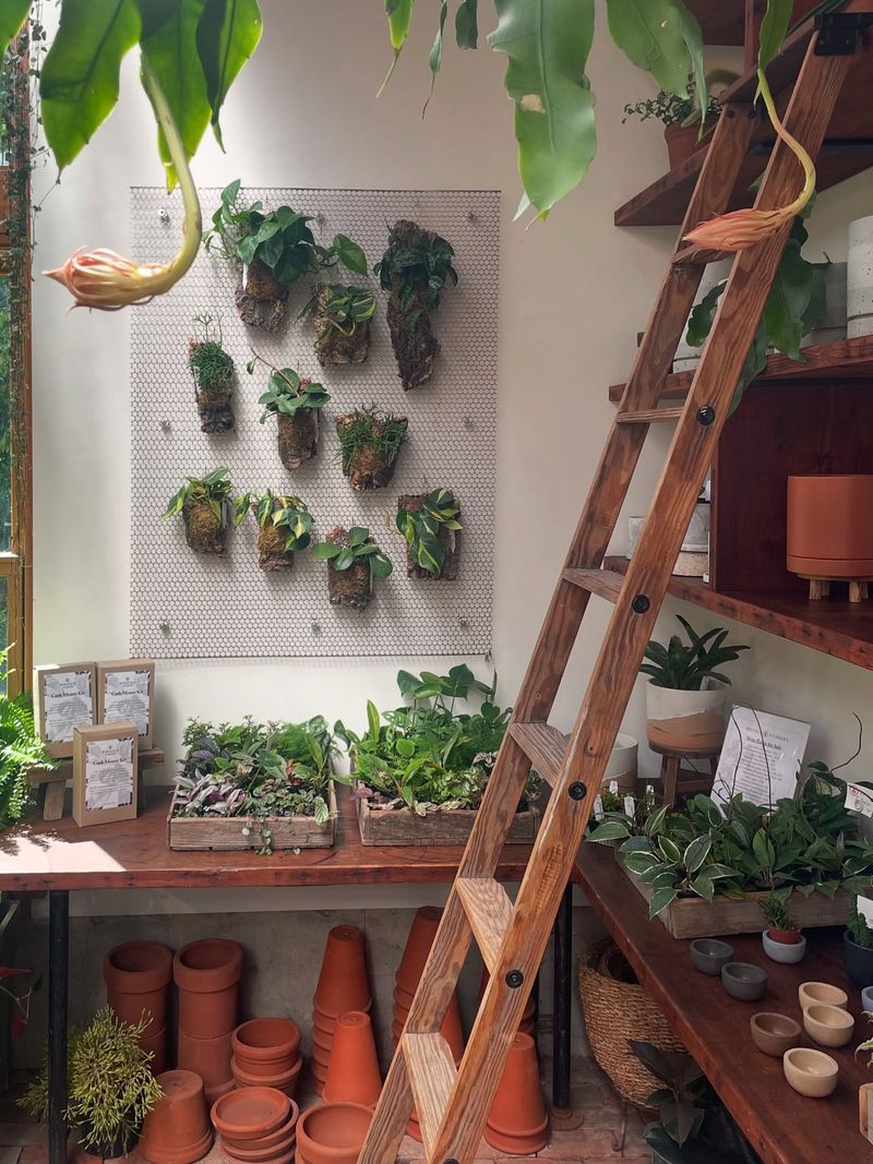 Plant-Themed Gallery Wall