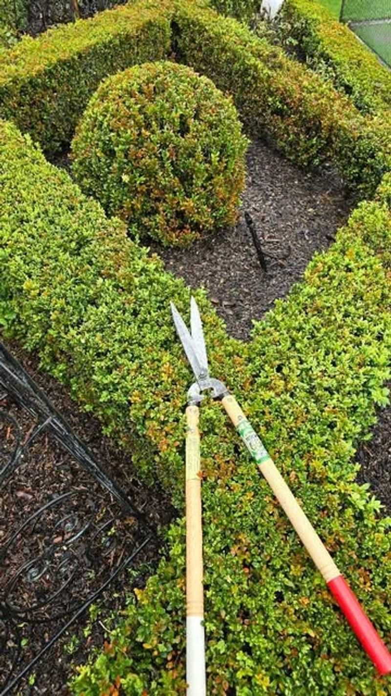 Prune Strategically