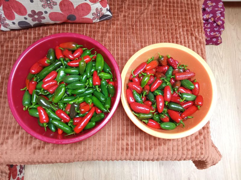 Morning Harvest Maximizes Flavor