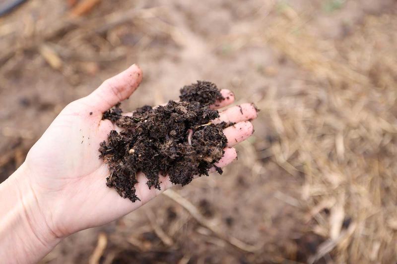 Soil PH Tester Holder