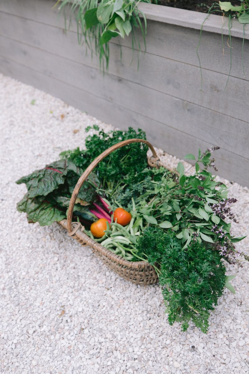 Harvested Produce Washing Station